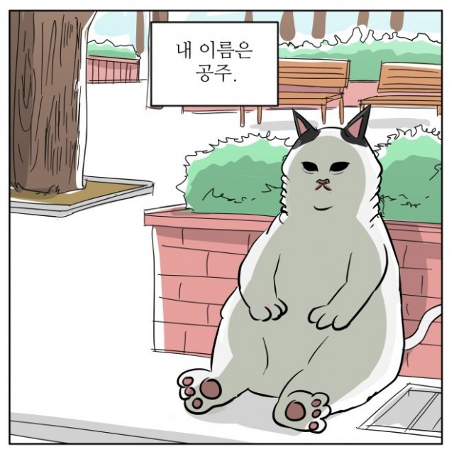 냥하무인