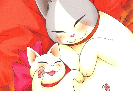 카타기리군의 다섯 마리 고양이, 그리고 그녀 패키지