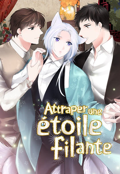 Attraper une étoile filante