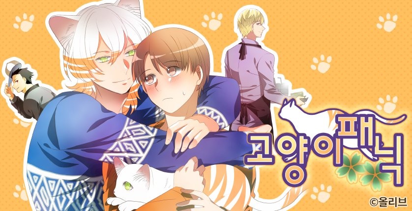 고양이 패닉
