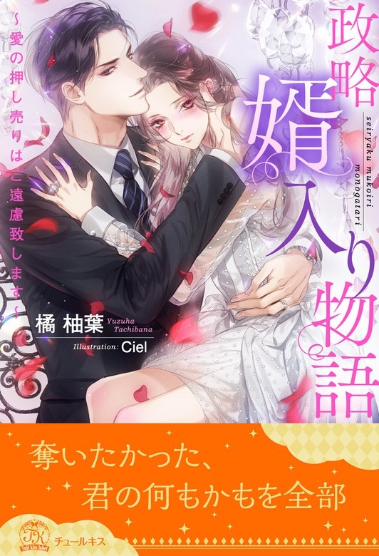 政略婿入り物語～愛の押し売りはご遠慮致します～