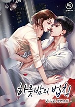 하룻밤의 법칙[단행본]