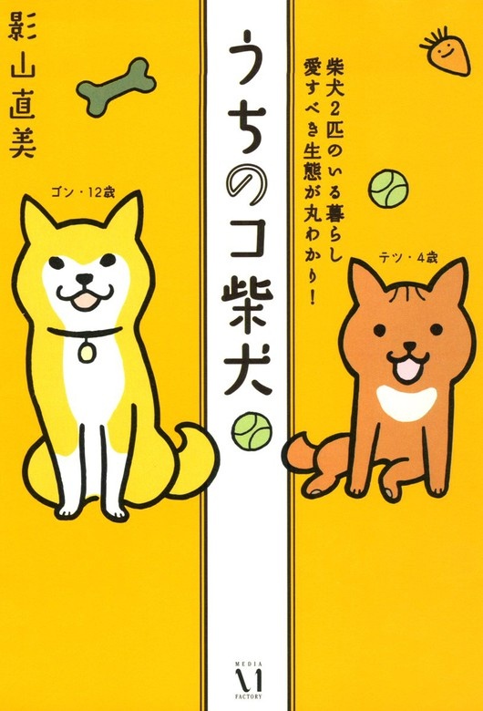 うちのコ柴犬