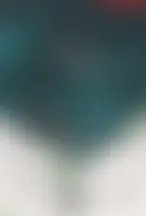 포스 투(Force to) [단행본]