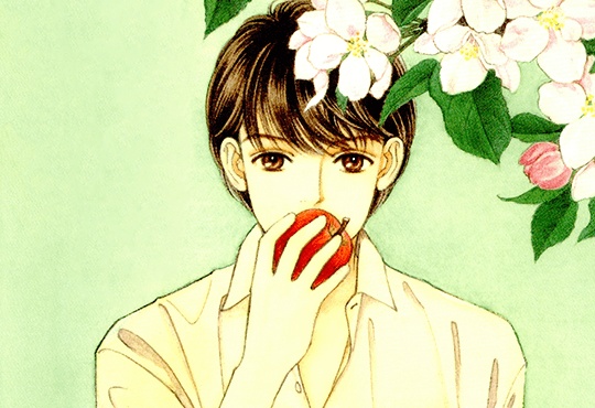 꽃보다도 꽃처럼