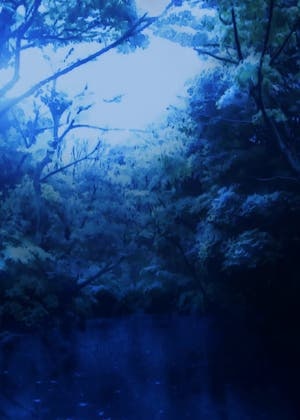 雪月花の巫女たち