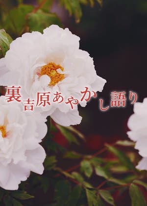 裏吉原あやかし語り