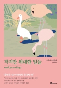 작지만 위대한 일들 - 조디 피코 장편소설