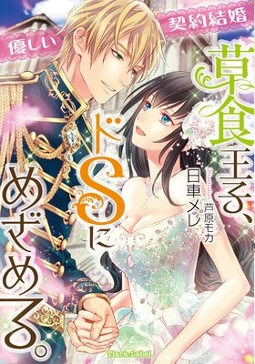 優しい契約結婚 草食王子、ドSにめざめる。【イラスト付】