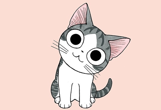 치즈 스위트 홈