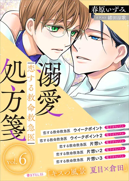 恋する救命救急医 溺愛処方箋6 【電子プレミアム】