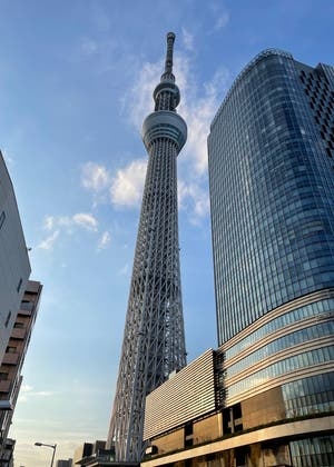 恋 というより 沼