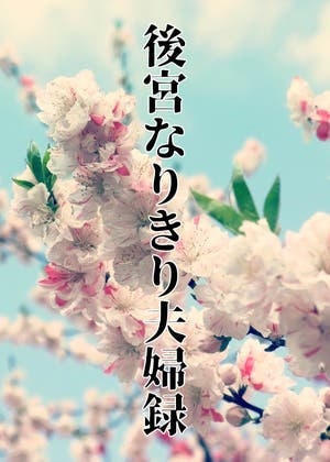 後宮なりきり夫婦録