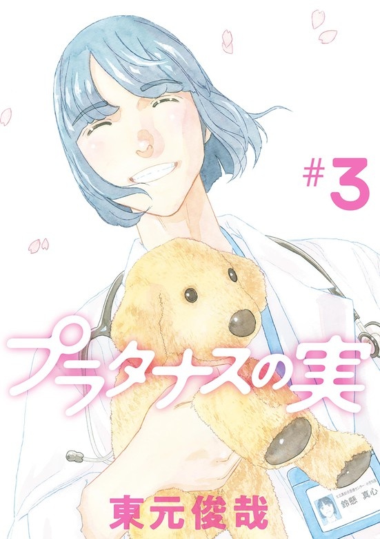 プラタナスの実