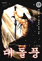 대돌풍 [단행본]