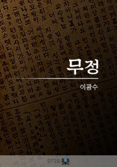 무정 (이광수)