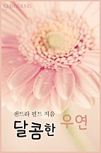 달콤한 우연 [단행본]