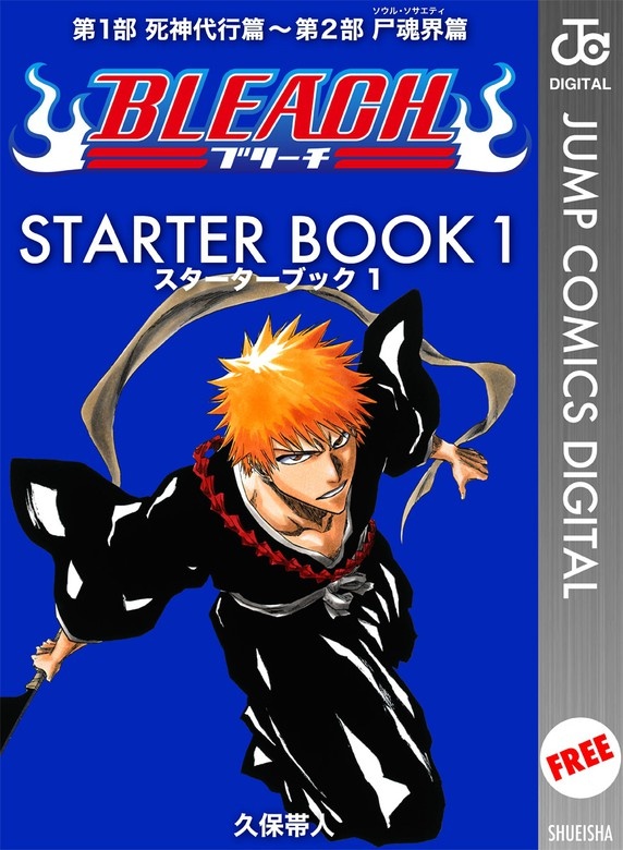 BLEACH─ブリーチ─ STARTER BOOK