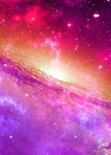 紫苑の彼方に、星は消ゆ