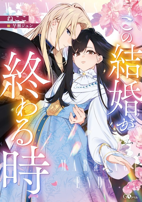 この結婚が終わる時(ノベル)