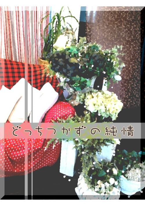どっちつかずの純情