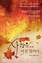 사랑은 미친 짓이다 [단행본]