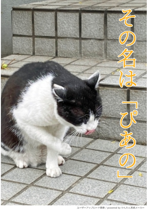 その名は「ぴあの」