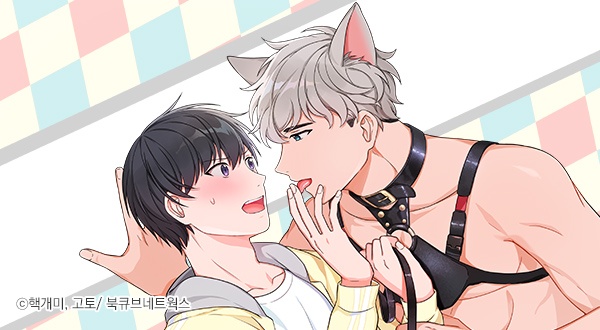 앉아, 기다려, 키스해 표지