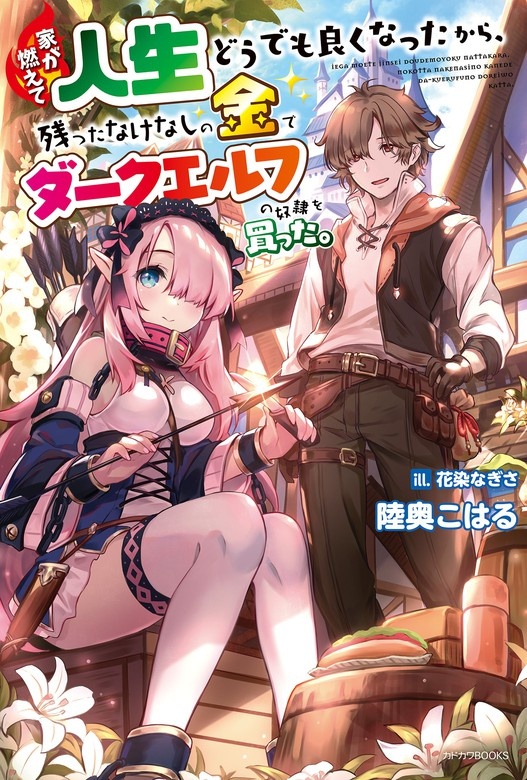 家が燃えて人生どうでも良くなったから、残ったなけなしの金でダークエルフの奴隷を買った。（ノベル）
