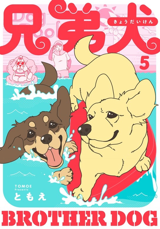 兄弟犬
