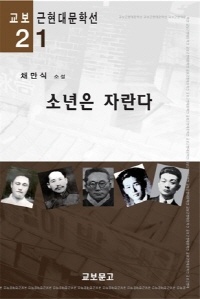 소년은 자란다(교보근현대문학선021)