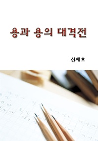 용과 용의 대격전