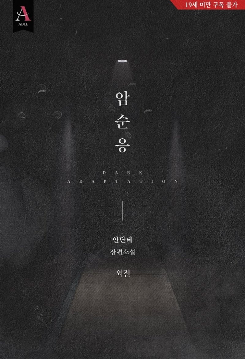 암순응 (외전)