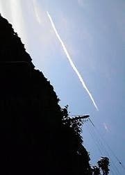 こいうた