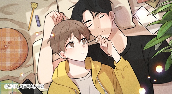 [웹툰/만화] 홈보이(Homeboy) (봄툰)