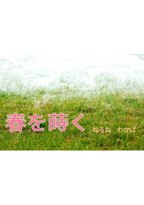 【完結】春を蒔く