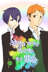 석양에 피어난 무지개는 항상 맑음 [스크롤]