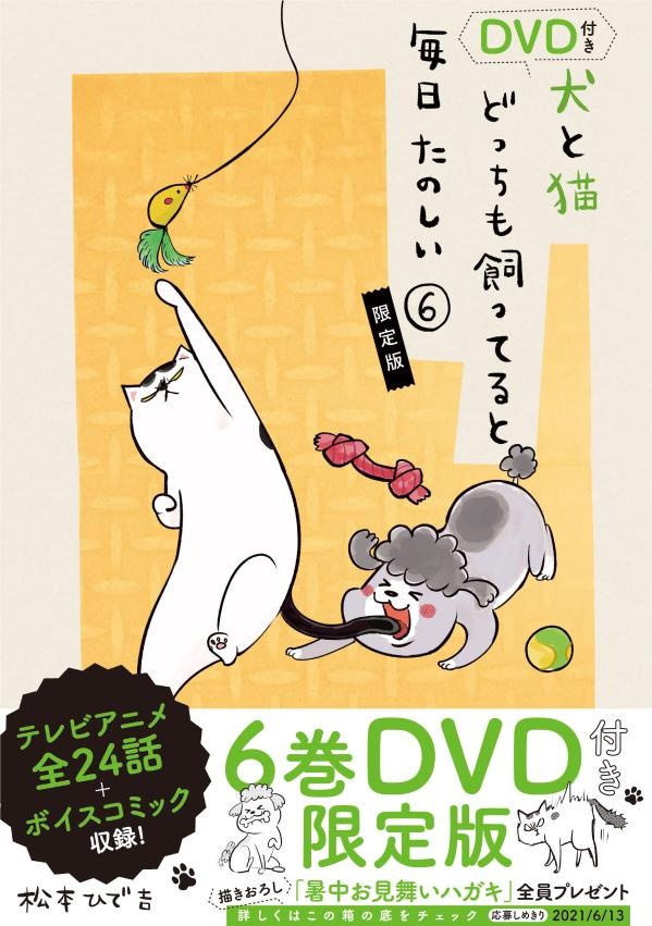 DVD付き　犬と猫どっちも飼ってると毎日たのしい（6）限定版　（講談社キャラクターズライツ）