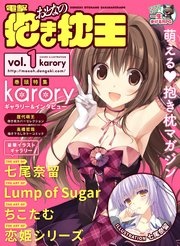 電撃おとなの抱き枕王
