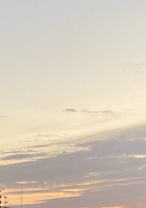 天空で暮らす人類は、もう一度地上で暮らしたい