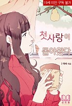 첫사랑이 돌아왔다 [단행본]