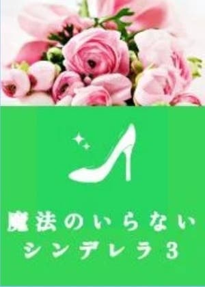 魔法のいらないシンデレラ 3
