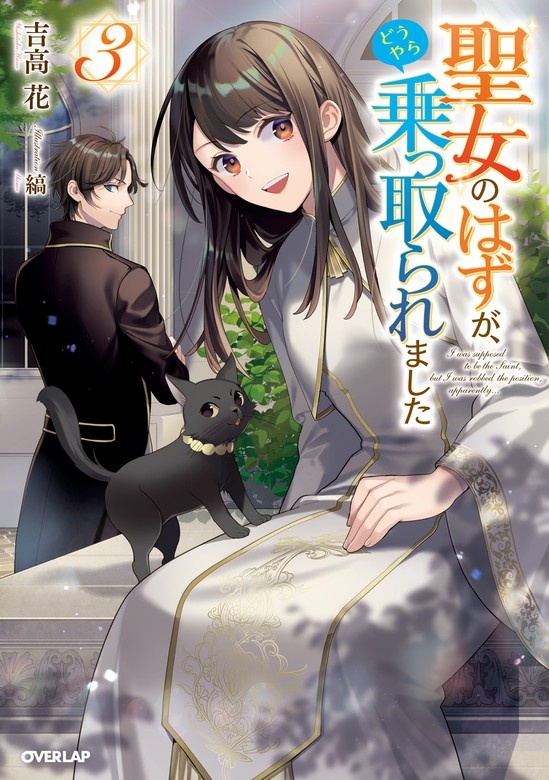 聖女のはずが、どうやら乗っ取られました（ノベル）