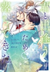 君と出逢うため落ちてきた