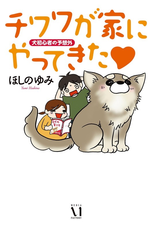 チワワが家にやってきた