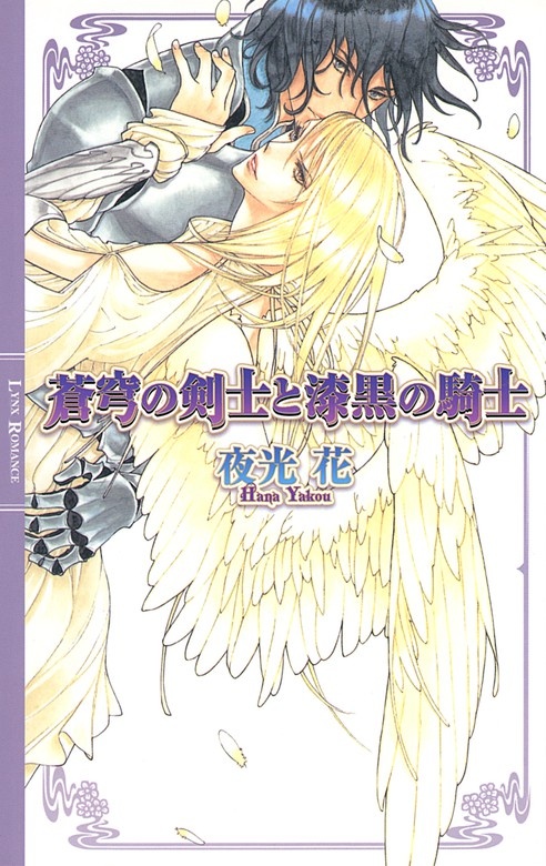 蒼穹の剣士と漆黒の騎士
