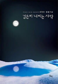 검은 비 내리는 사막