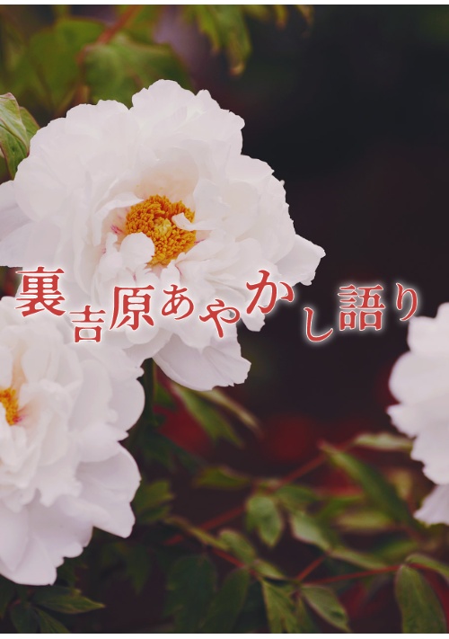 裏吉原あやかし語り