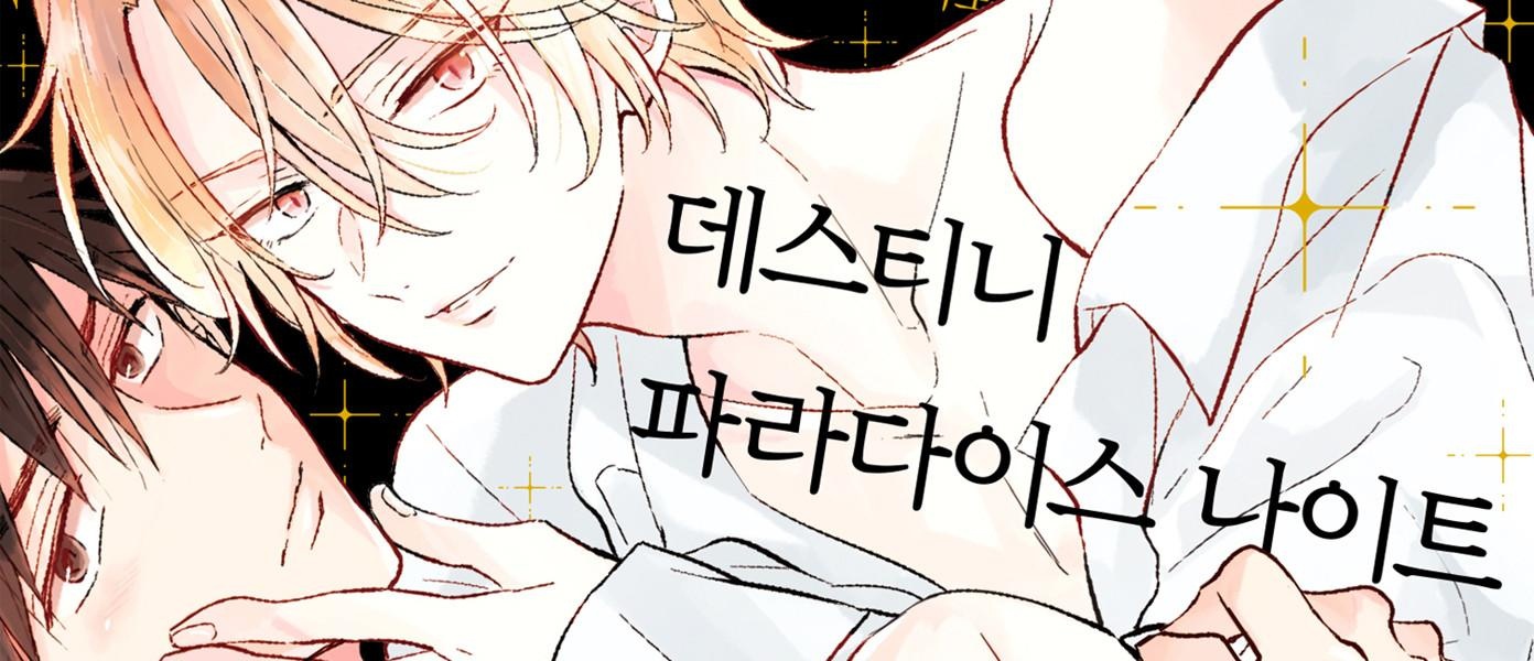 데스티니 파라다이스 나이트[비비]