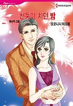 천둥이 치던 밤 [할리퀸]